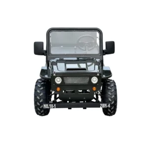 Massimo Minis 125 Go Karts 125cc 9hp - Image 3